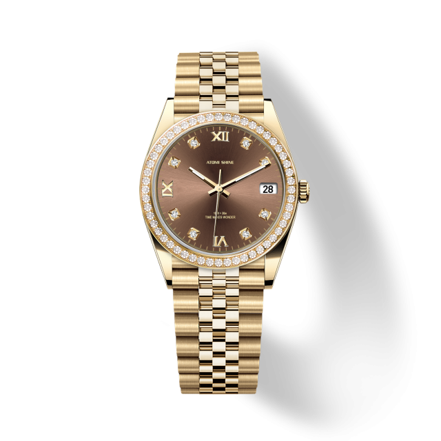 Diary Diamond Watch